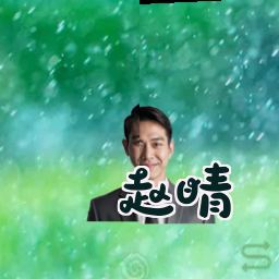 赵晴